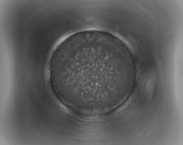 X0000115401367200911101504