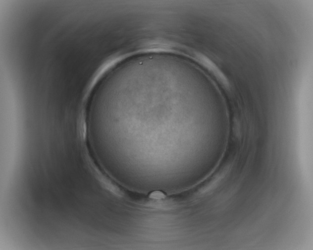 X0000115401368200911101504