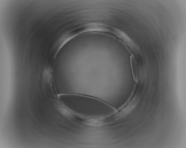 X0000115401369200911101504