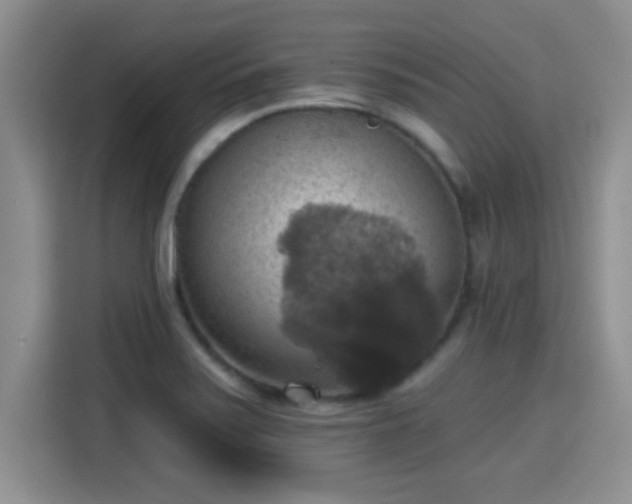 X0000115401371200911101504