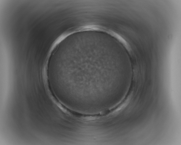X0000115401373200911101504