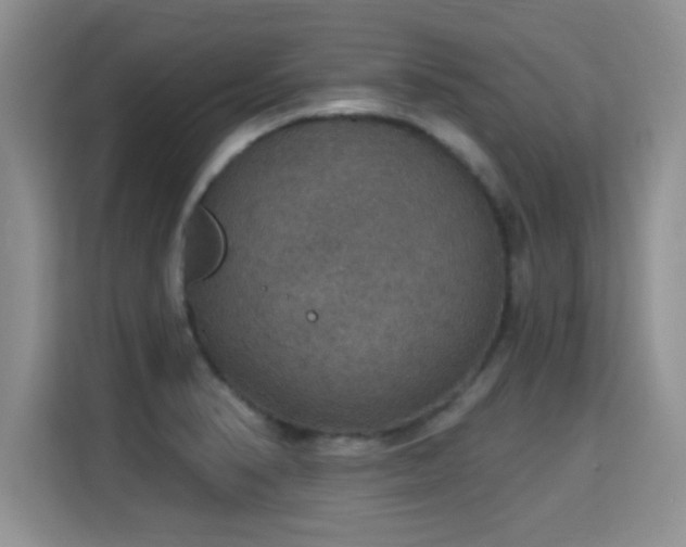 X0000115401374200911101504
