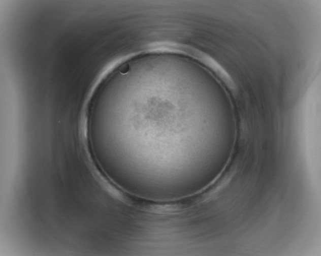 X0000115401376200911101504