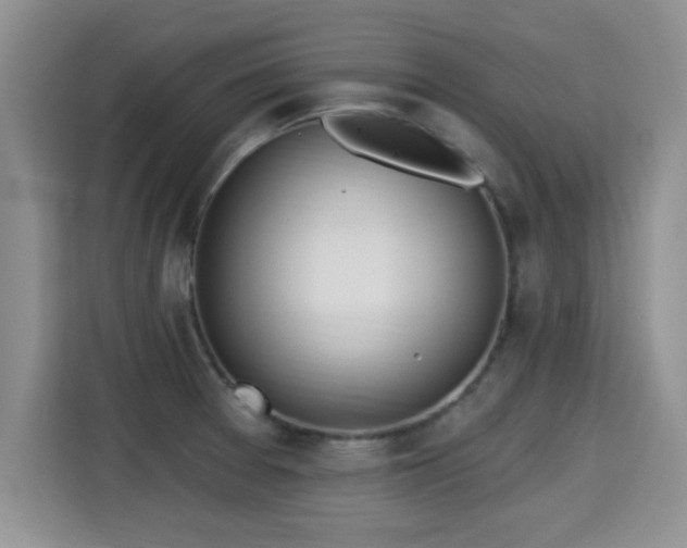 X0000115401377200911101504