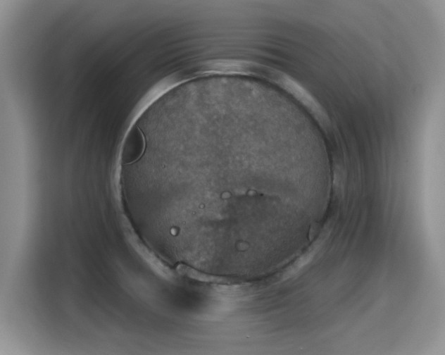 X0000115401378200911101503