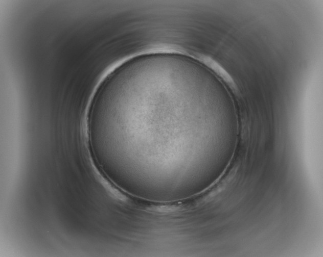 X0000115401380200911101503