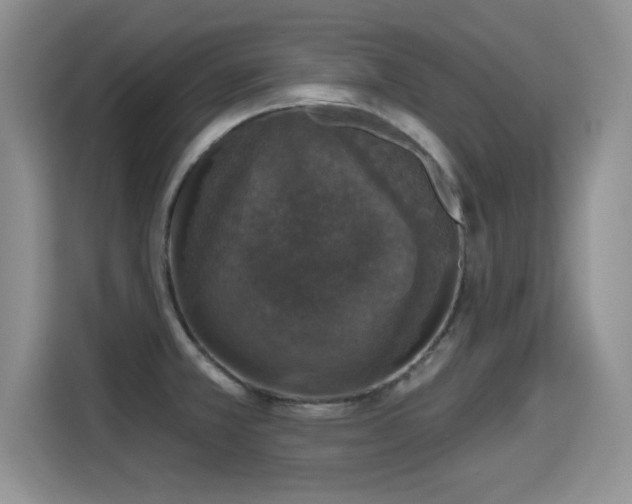 X0000115401381200911101503
