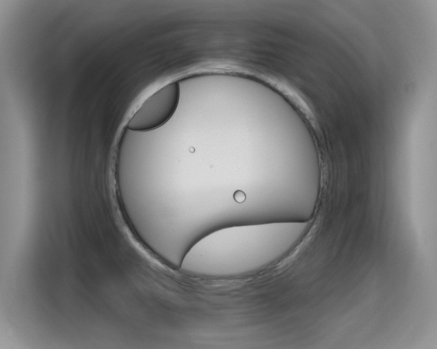 X0000115401382200911101503