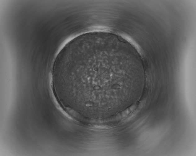 X0000115401383200911101503