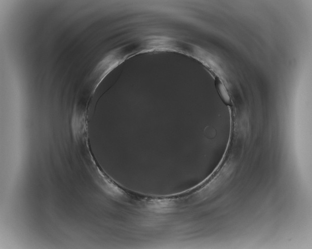 X0000115401385200911101503