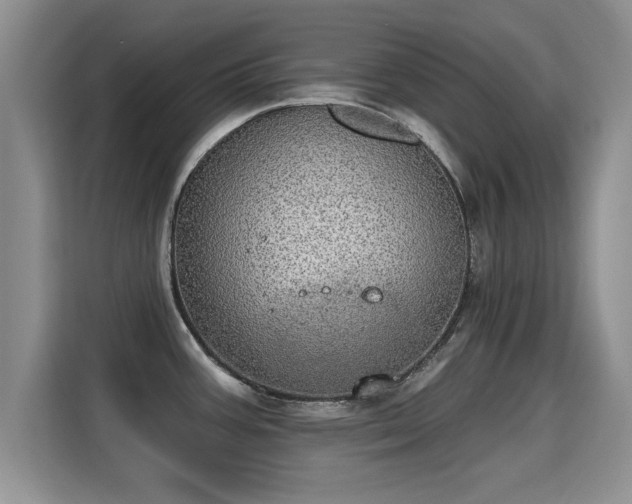 X0000115401387200911101503