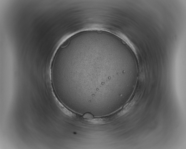X0000115401388200911101503