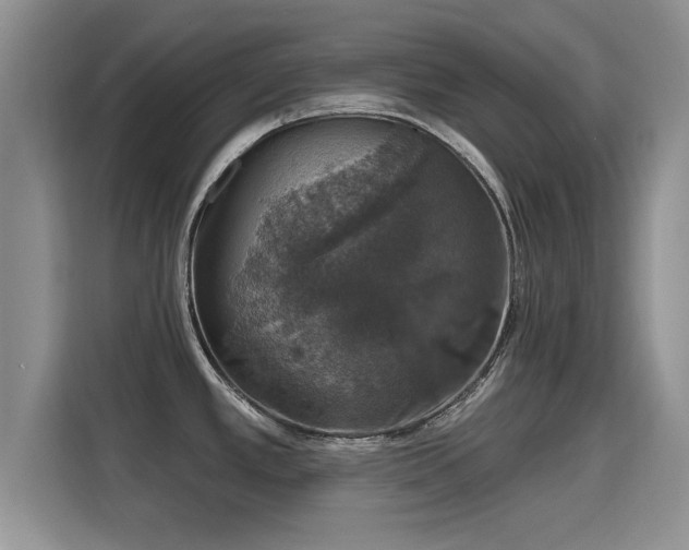 X0000115401389200911101503