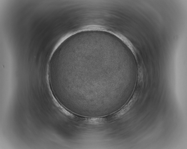 X0000115401390200911101503