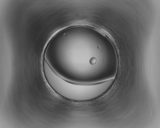 X0000115401392200911101503