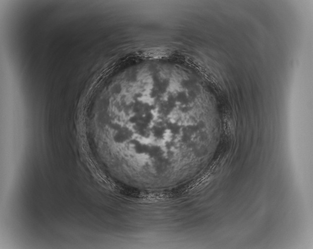 X0000115401393200911101503