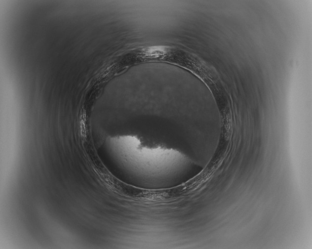X0000115401394200911101503