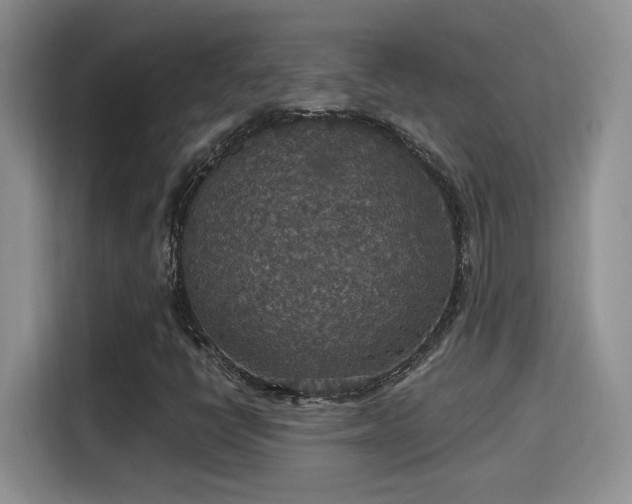 X0000115401398200911101503