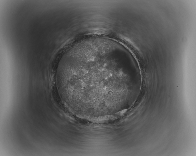X0000115401399200911101503
