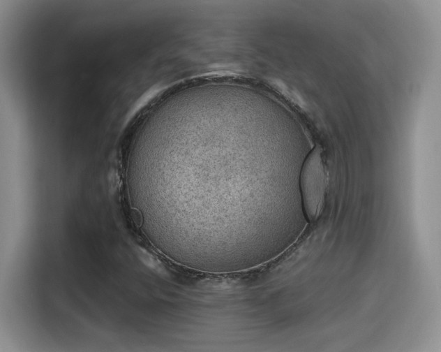 X0000115401400200911101503