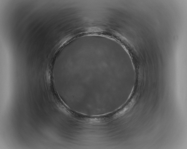 X0000115401401200911101503