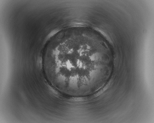 X0000115401402200911101503