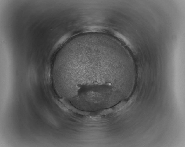 X0000115401403200911101503