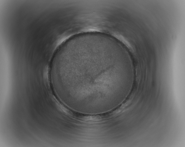 X0000115401404200911101503