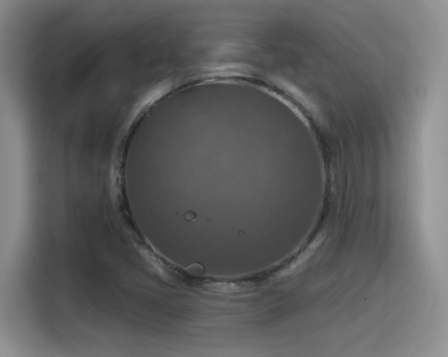 X0000115401405200911101503