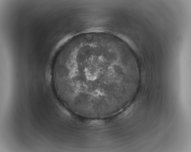 X0000115401406200911101503