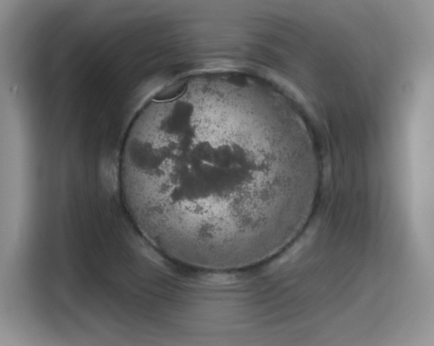 X0000115401409200911101503