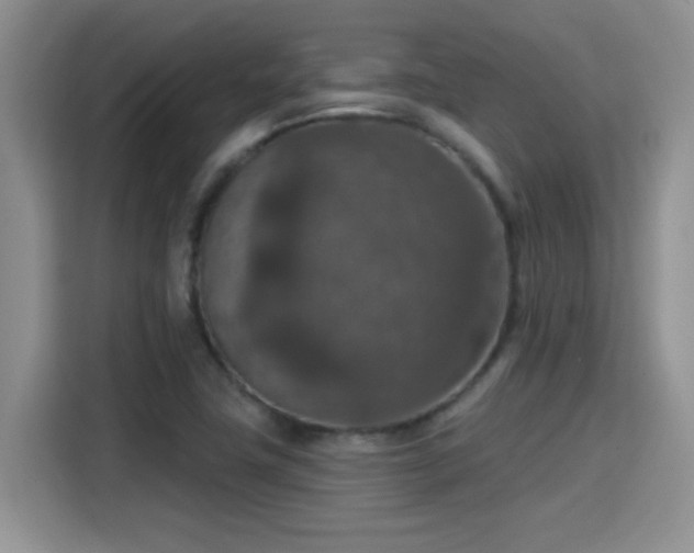 X0000115401411200911101503
