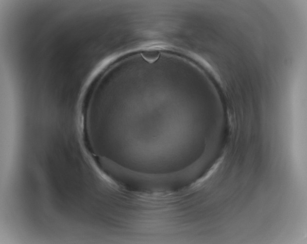 X0000115401414200911101503