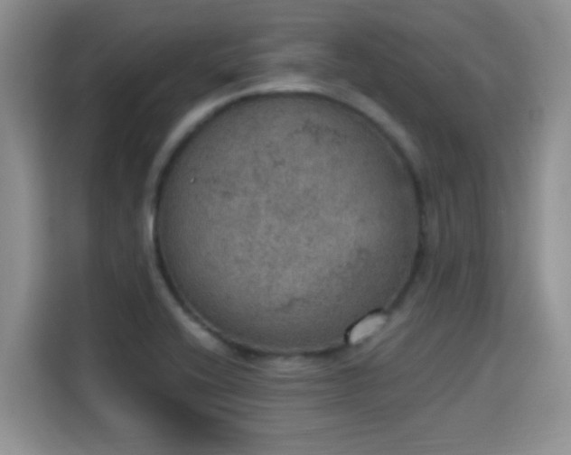 X0000115401416200911101503