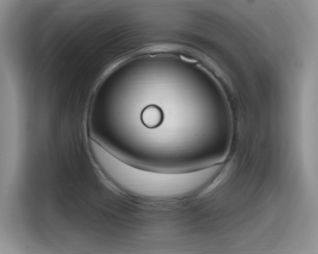 X0000115401417200911101503
