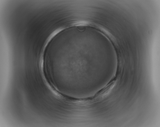 X0000115401418200911101503