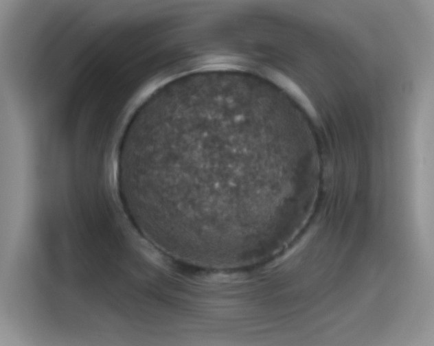 X0000115401419200911101503