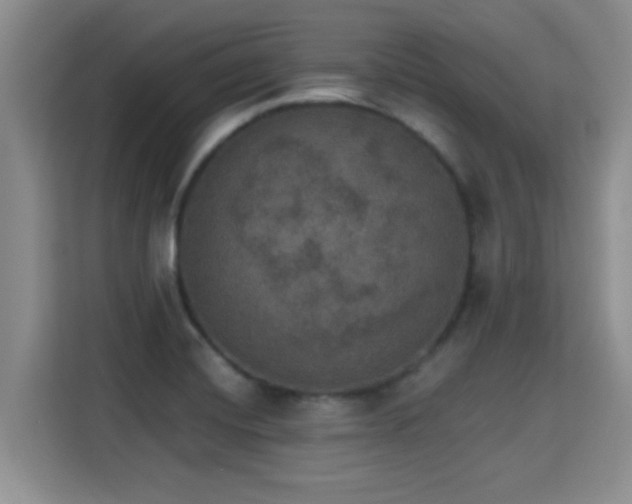 X0000115401420200911101503