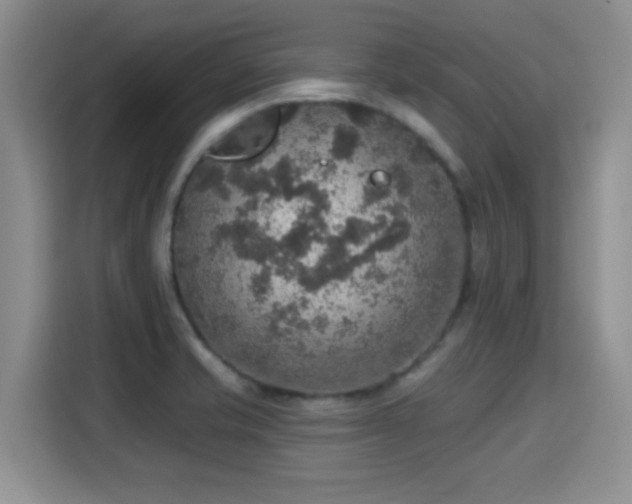 X0000115401421200911101503