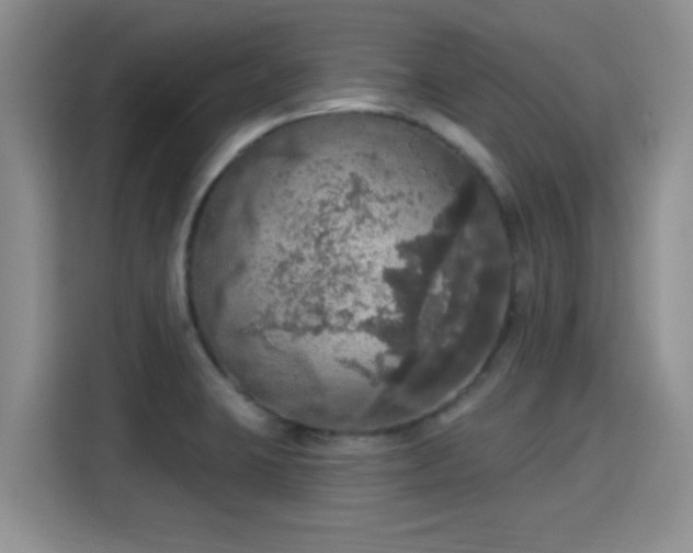 X0000115401423200911101503