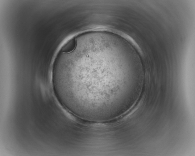 X0000115401424200911101503