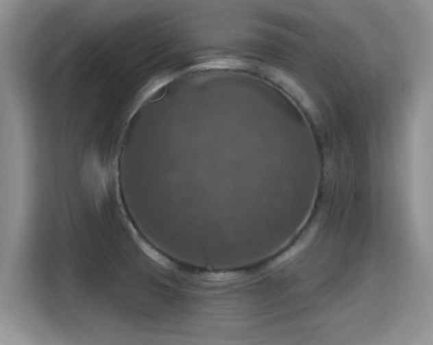 X0000115401425200911101503