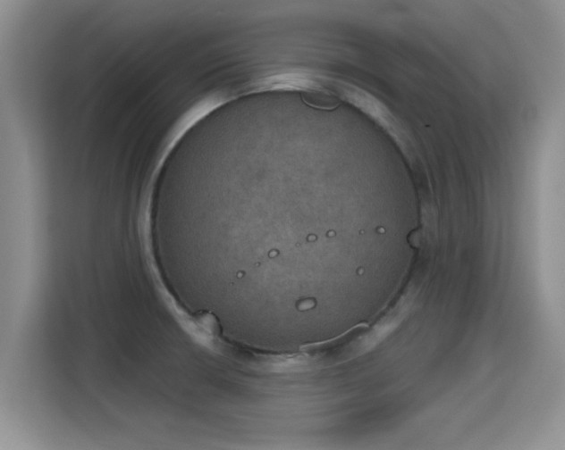 X0000115401426200911101503