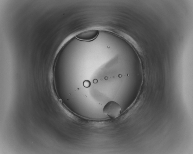 X0000115401428200911101503