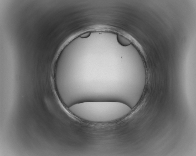 X0000115401429200911101503