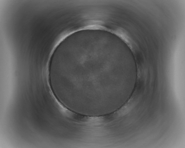 X0000115401430200911101503