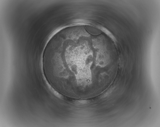 X0000115401431200911101503