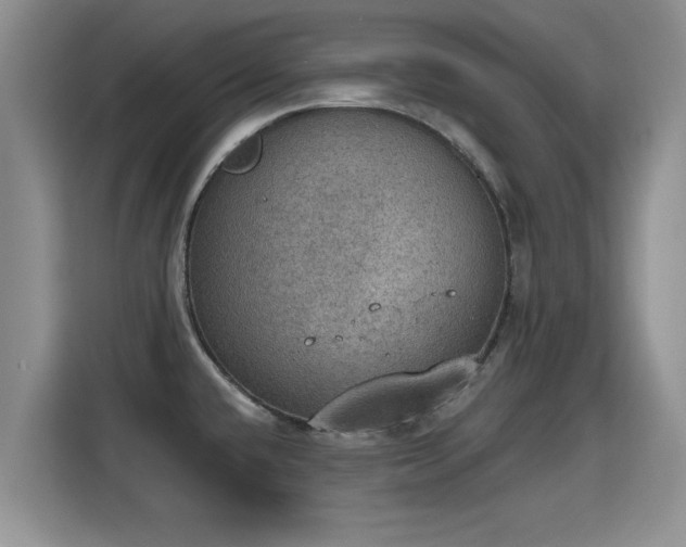 X0000115401432200911101503