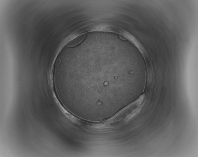 X0000115401434200911101503