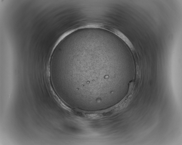 X0000115401436200911101503